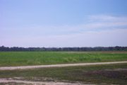MOULTRIE