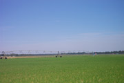 MOULTRIE