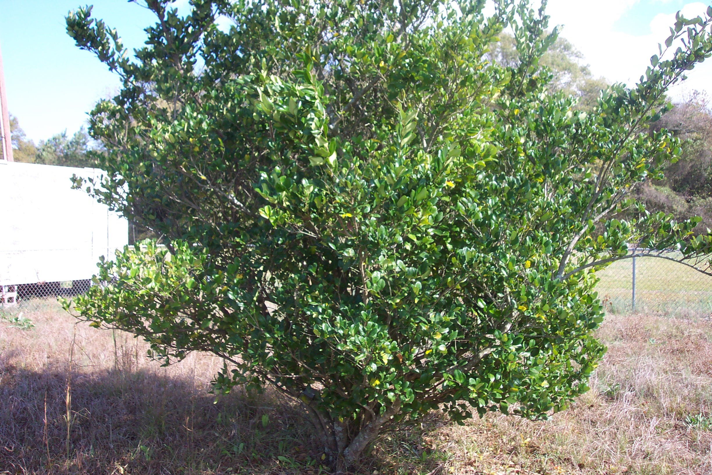 Weather Automated Environmental Monitoring Network Page