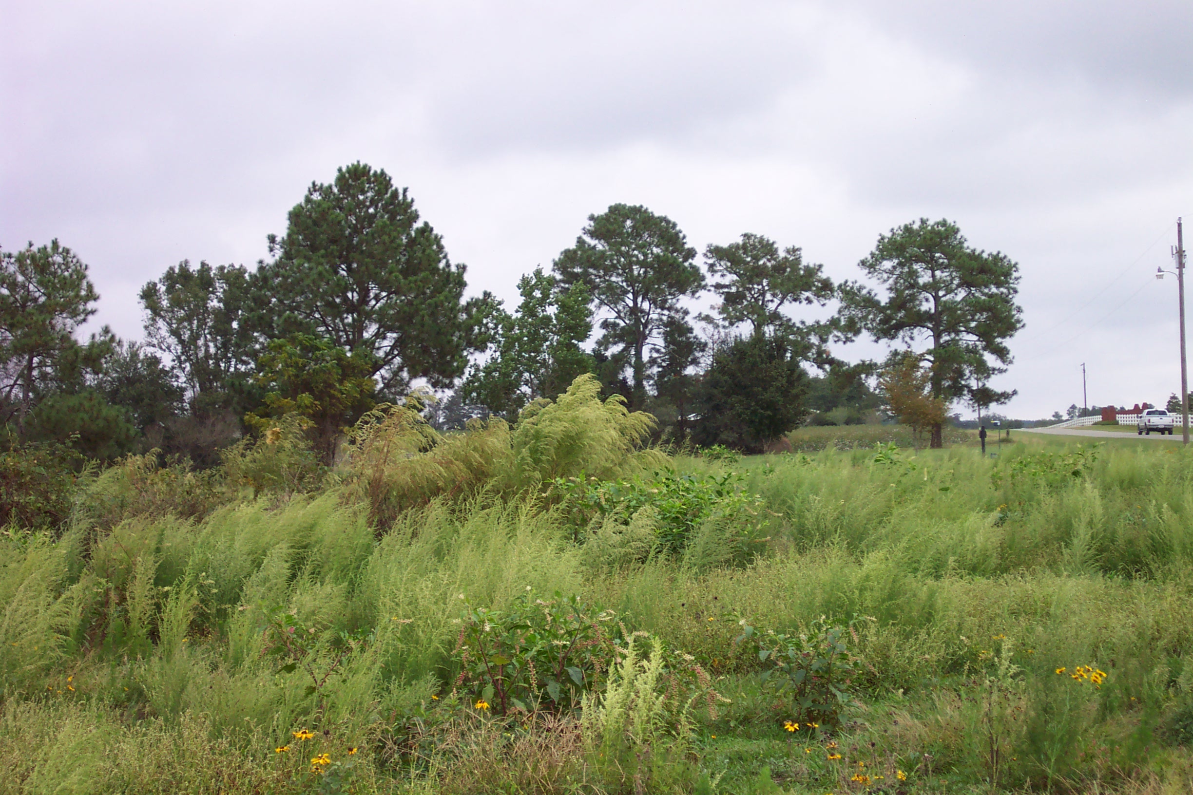 Weather Automated Environmental Monitoring Network Page